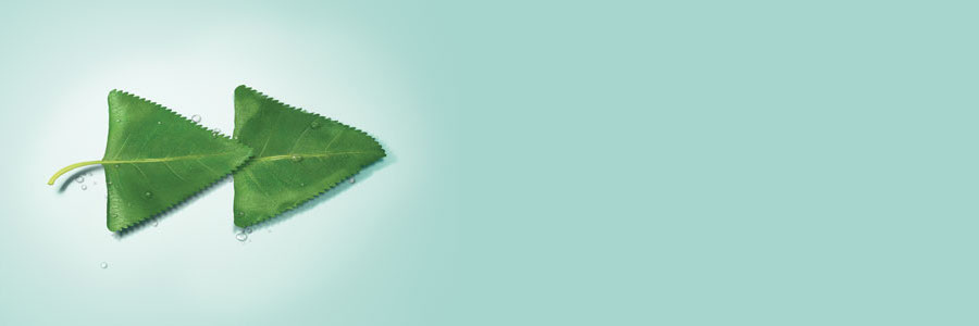 BNP Paribas profile banner