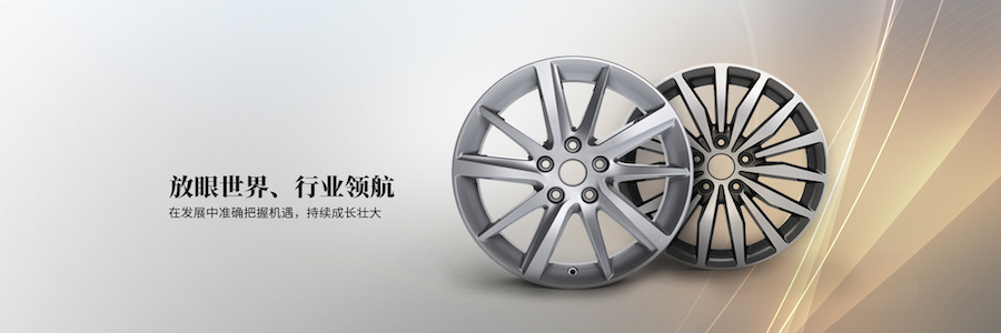 CITIC Dicastal profile banner CITIC Dicastal profile banner