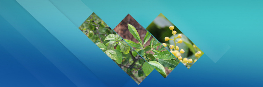 Pharmaceutical Researcher profile banner profile banner