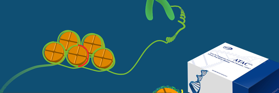 Tech Support profile banner profile banner