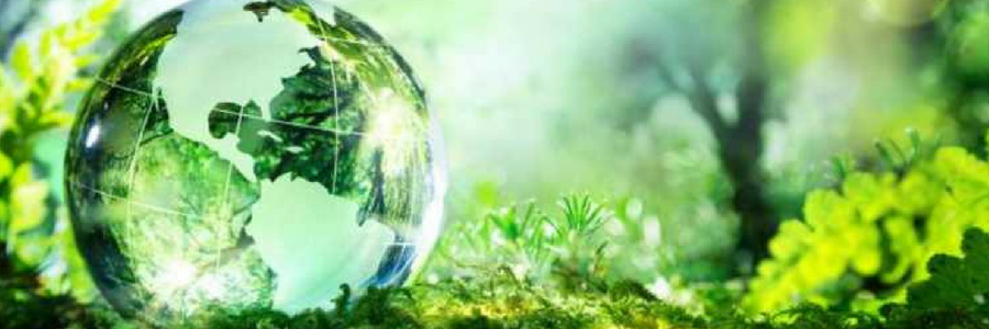 EcoVadis profile banner