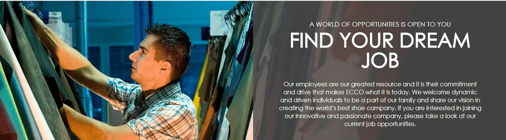ECCO NextGen Programme - Broad based Retail profile banner profile banner