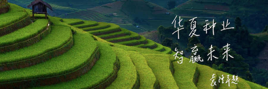 Huazhi Bio profile banner Huazhi Bio profile banner