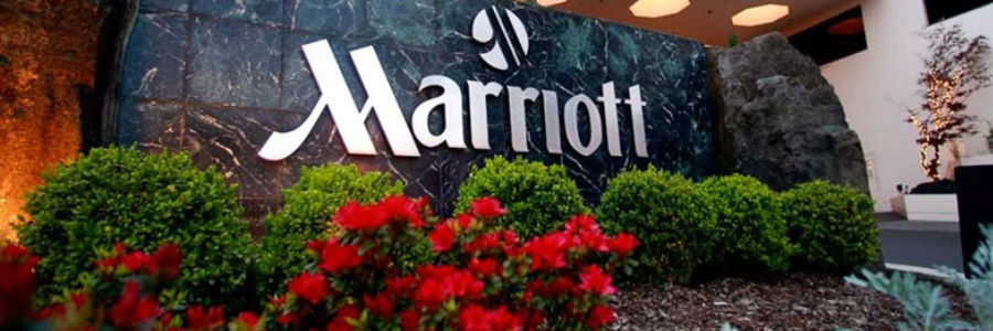 Information Technology Intern - Bulgari Hotel & Resorts profile banner profile banner