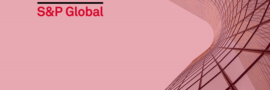 S&P Global Platts 2021 Commodity Associate Program profile banner profile banner