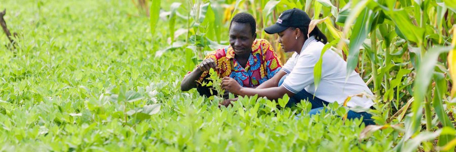 Zambia Food Processing Internship profile banner profile banner