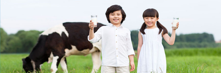 Yili profile banner Yili profile banner