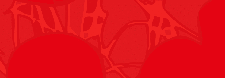 Spencer Ogden profile banner Spencer Ogden profile banner