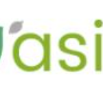 Lifeasible logo