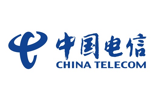 China Telecom Global Limited logo