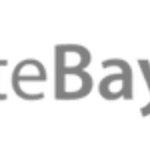 White Bay Search logo
