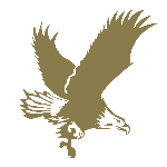 Fortrend Securities Pty Ltd logo
