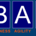 The Business Agility Group