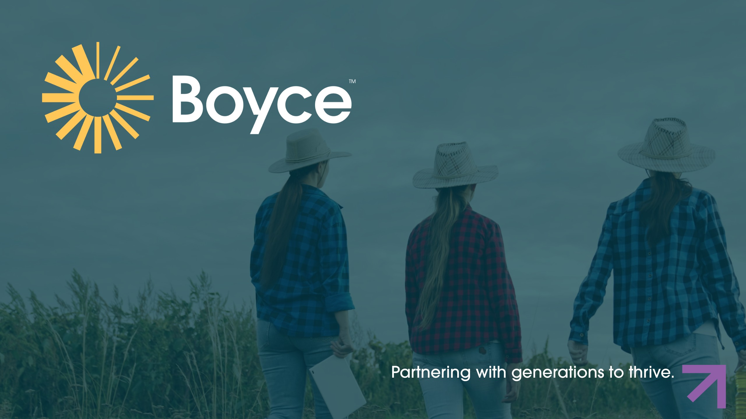 Boyce Chartered Accountants banner