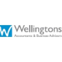 Wellingtons Accountants logo