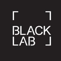BlackLab Design