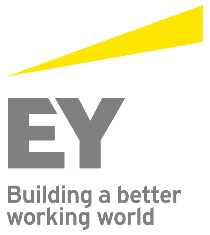 EY Business Consulting Finance/Financial Services Associate IT