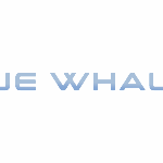 Blue Whale Steel logo