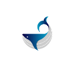 Big Wave Digital logo