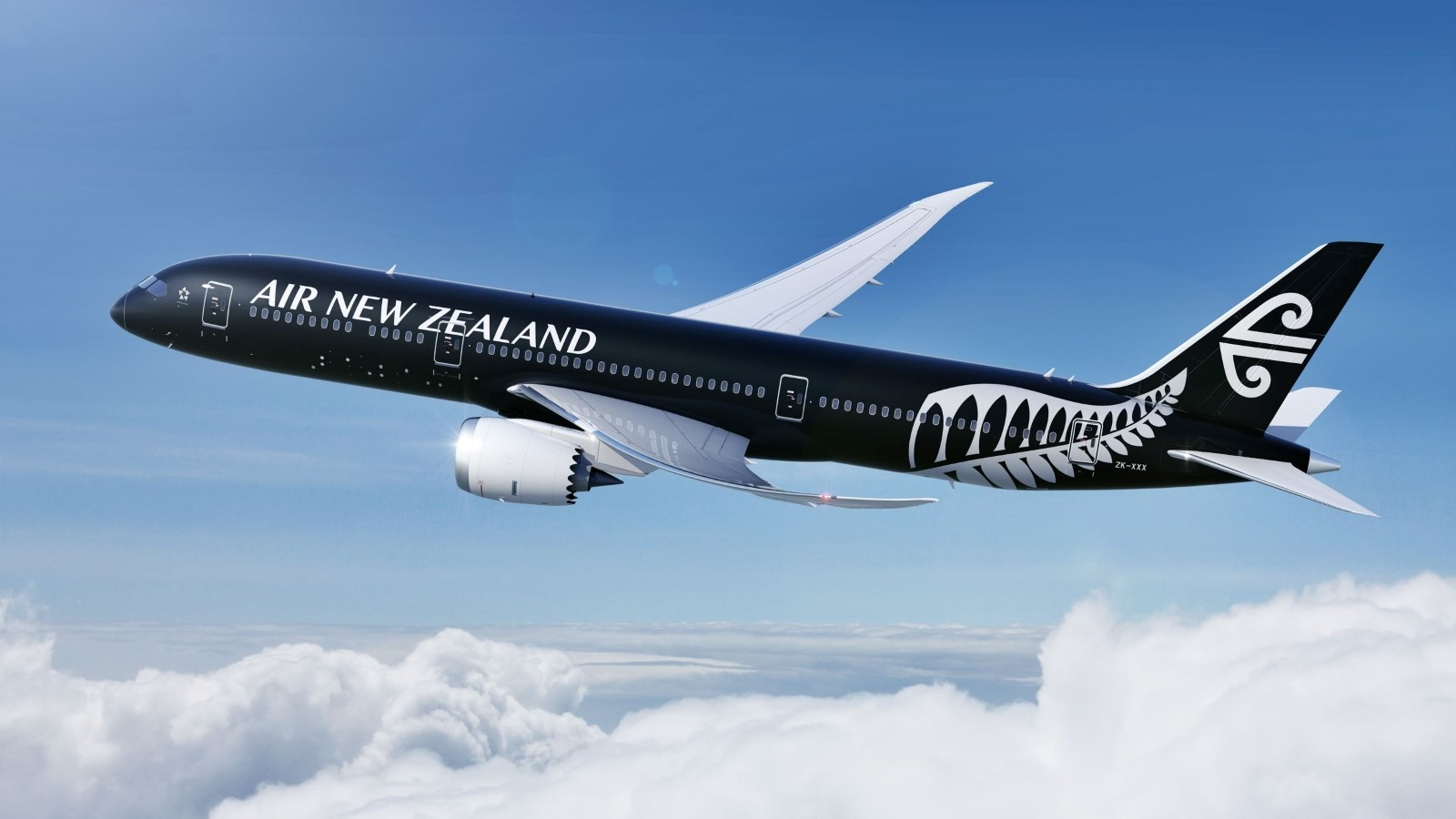 Air New Zealand banner