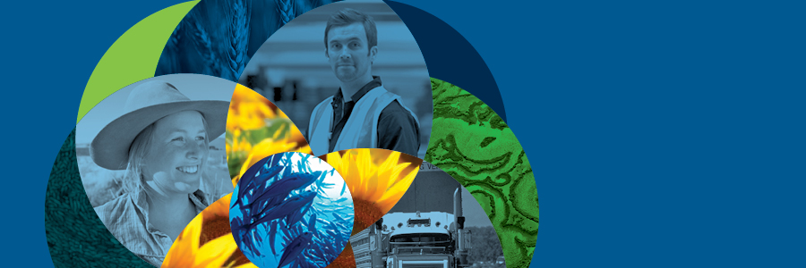Department of Agriculture and Water Resources profile banner