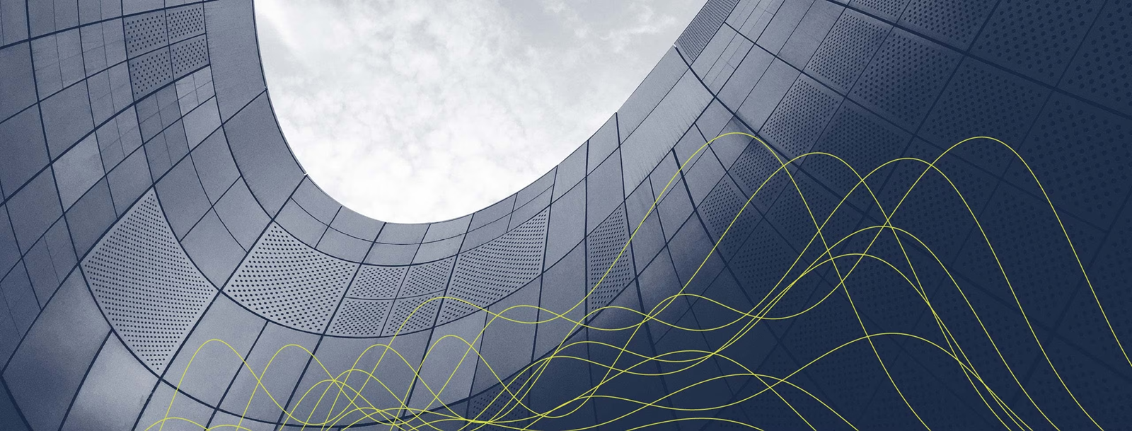 DLA Piper New Zealand banner