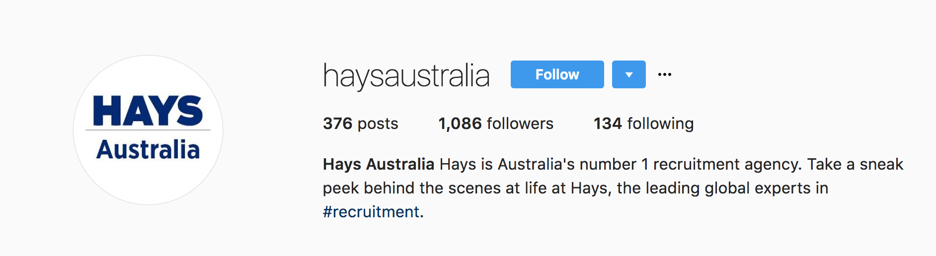 Hays Instagram