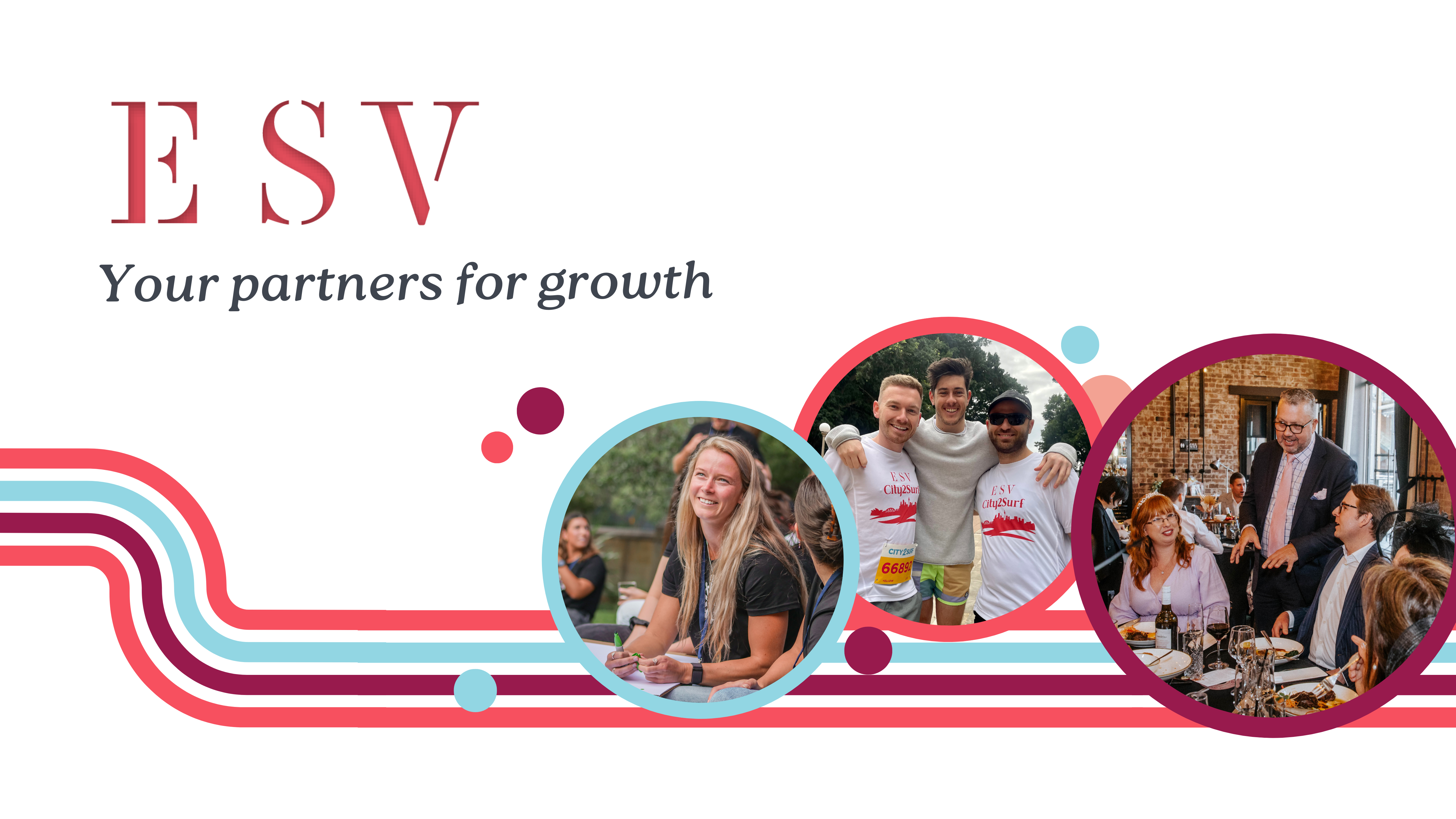 ESV - Business advice and accounting banner