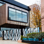 Wilderness School logo