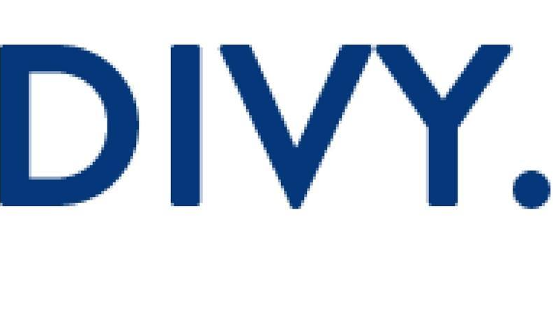 Divy Associates banner