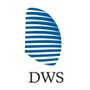 DWS Group