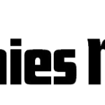Bernies Music Land logo