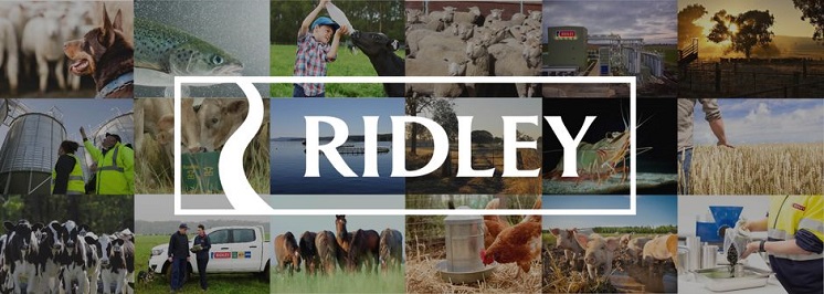 Ridley Corporation profile banner profile banner