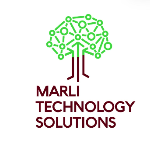Marli Technology Solutions logo