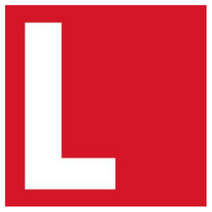 LEVICK