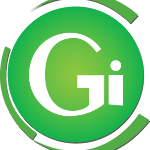GI Computer Innovations logo